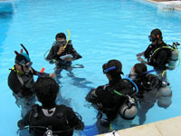 PADI Assistant Instructor