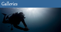 PADI IDC Galleries