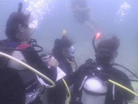 Scuba Cat IDC Photos 2011