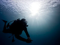 Scuba Cat IDC Photo Gallery 1