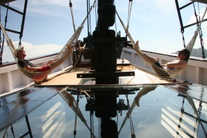 Scuba Cat Diving Phuket Thailand PADI 5 * CDC