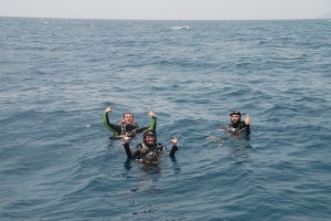 Scuba Cat Diving Phuket Thailand PADI MSDT Internship