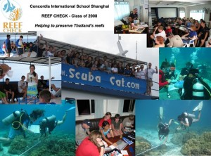 Scuba Cat Diving Phuket Thailand Underwater Clean Up