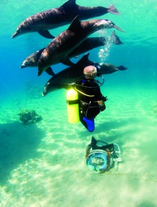 Scuba Cat Diving Phuket Thailand DDI Instructor Training Course