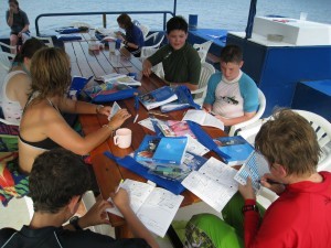 Scuba Cat Diving Phuket Thailand CISS Reefcheck Charter