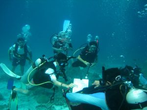 Scuba Cat Diving Phuket Thailand CISS Reefcheck Charter