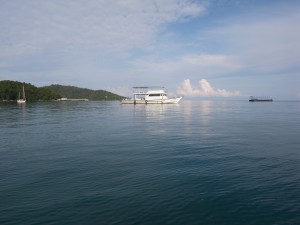 Scuba Cat Diving PADI 5 * CDC Phuket Thailand Patong Bay