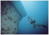 Scuba Cat Diving Phuket Thailand Marlas Mystery Scuba Cat Diving Phuket Thailand Eco Phuket